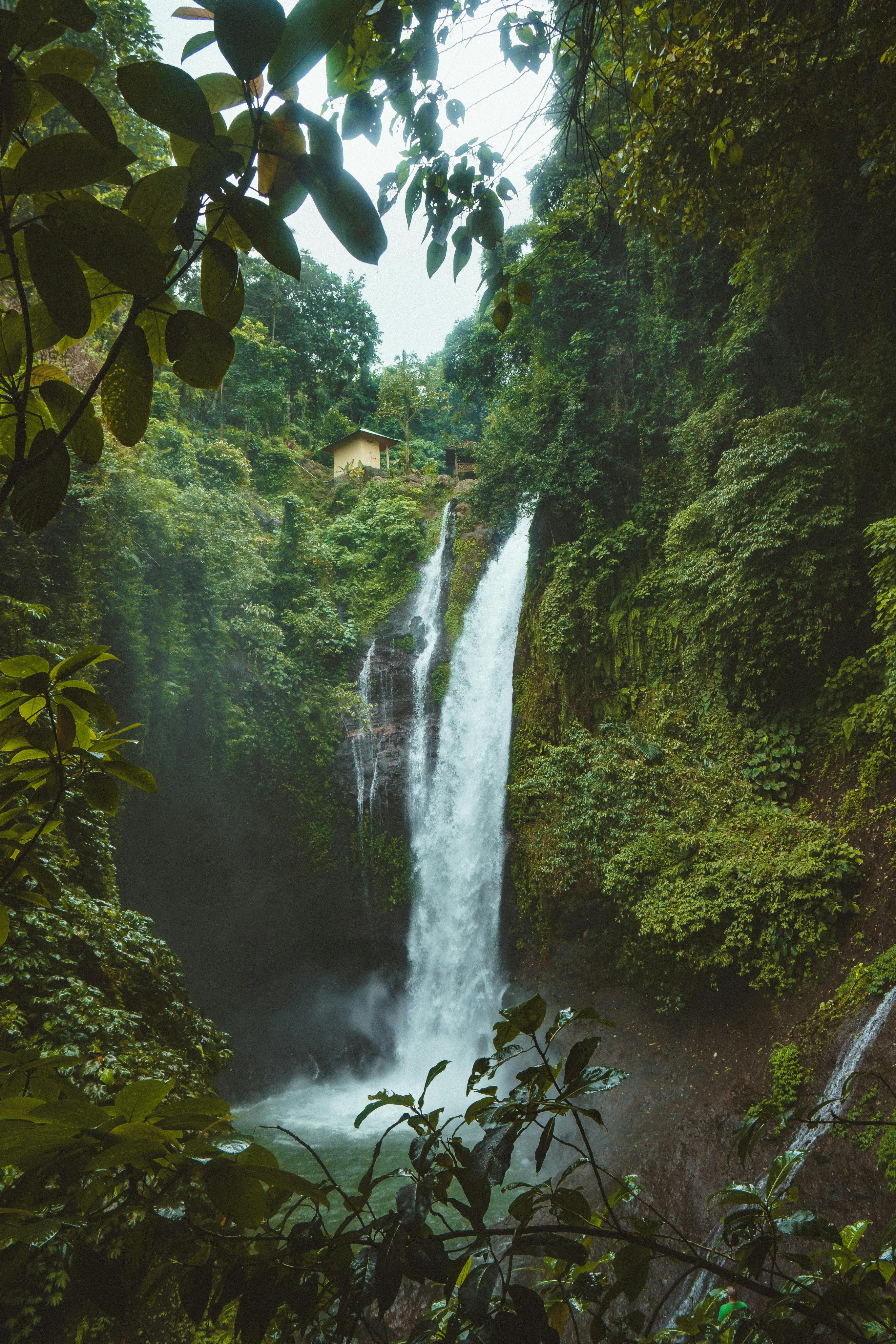 Tropical waterfall cascading into a pool